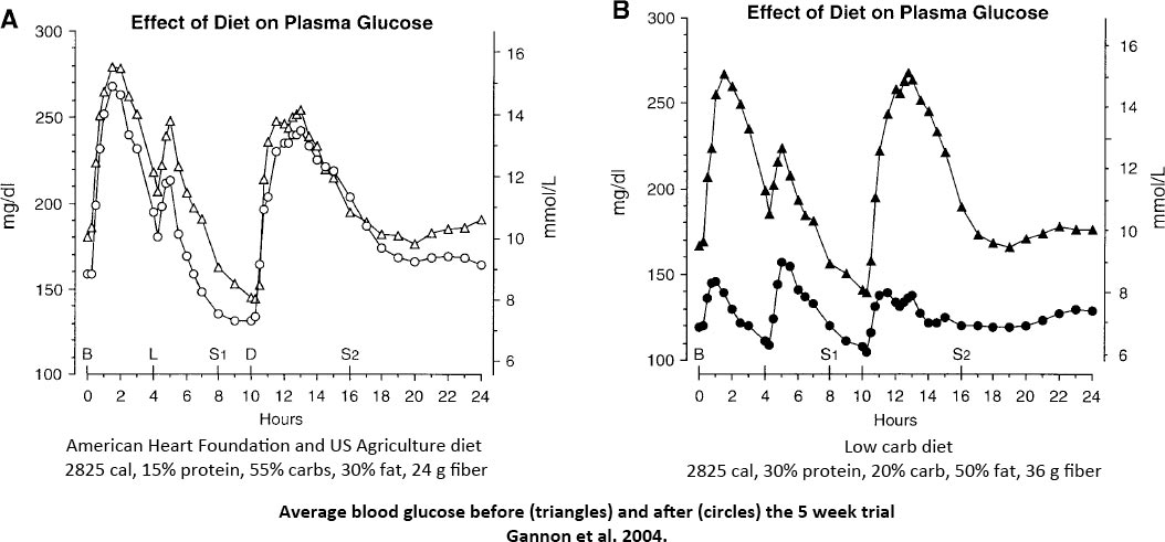 Blood Glucose Levels Atkins Diet