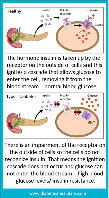 Insulin resistance meaning