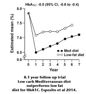 Is A Low Fat Or Low Carb Diabetic Diet Best?