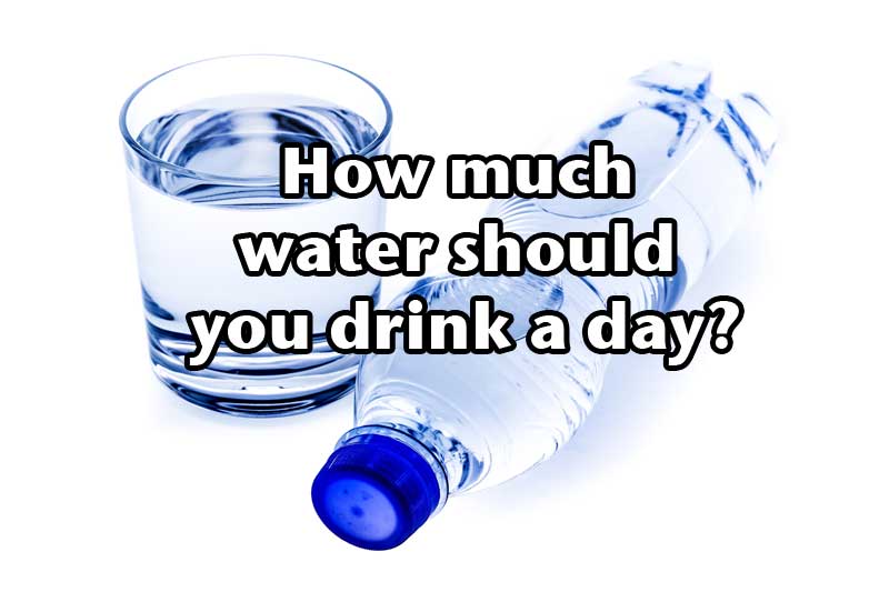 should per day much you drink fluid how How much you day? water drink a should