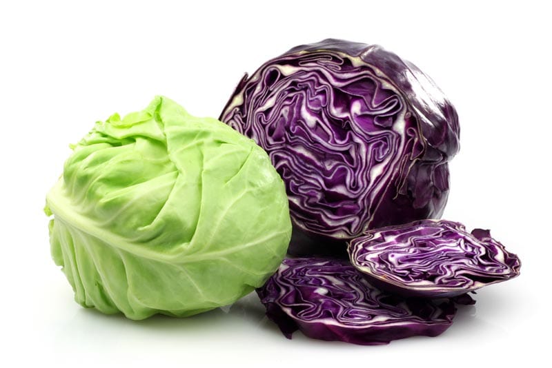 Cabbage