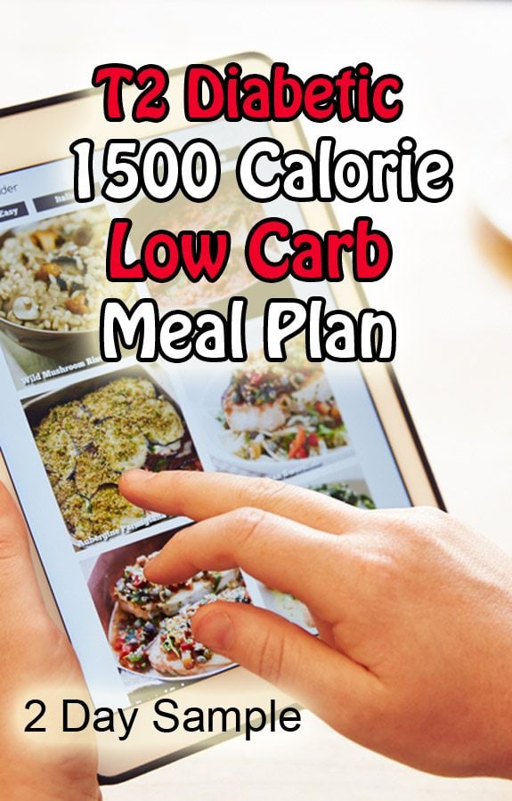 Type 2 Diabetic 1500 Calorie Meal Plan 2 Day Sample 