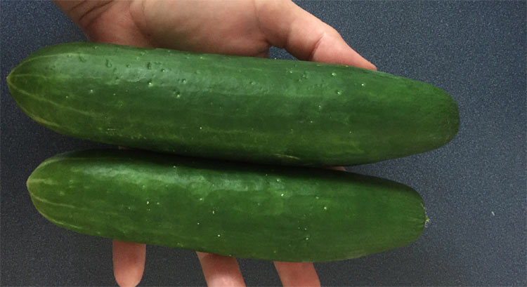 big cucumbers