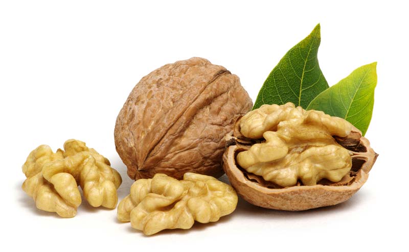 Image result for walnuts