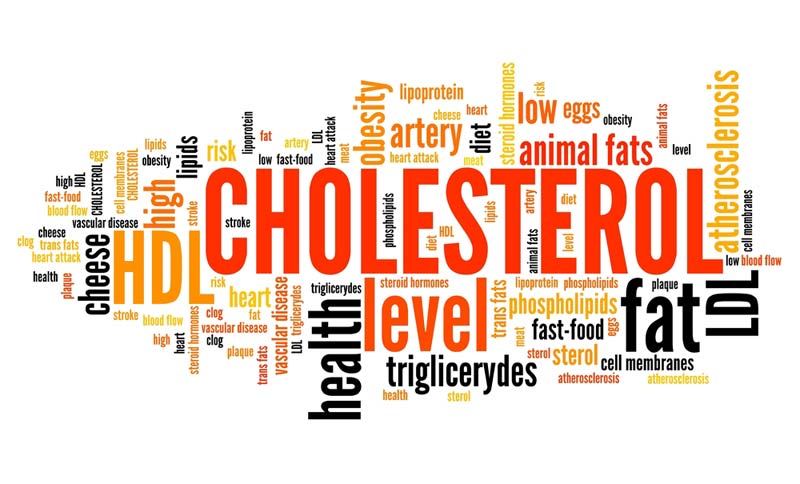 Confusions About Cholesterol And Type 2 Diabetes Resolved