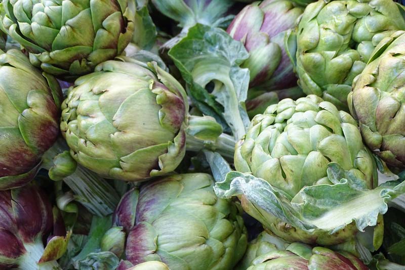 Artichoke and Diabetes