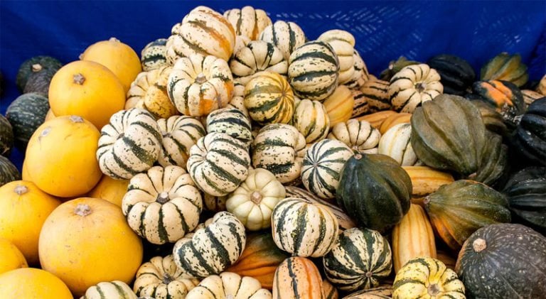 Winter Squash and Type 2 Diabetes