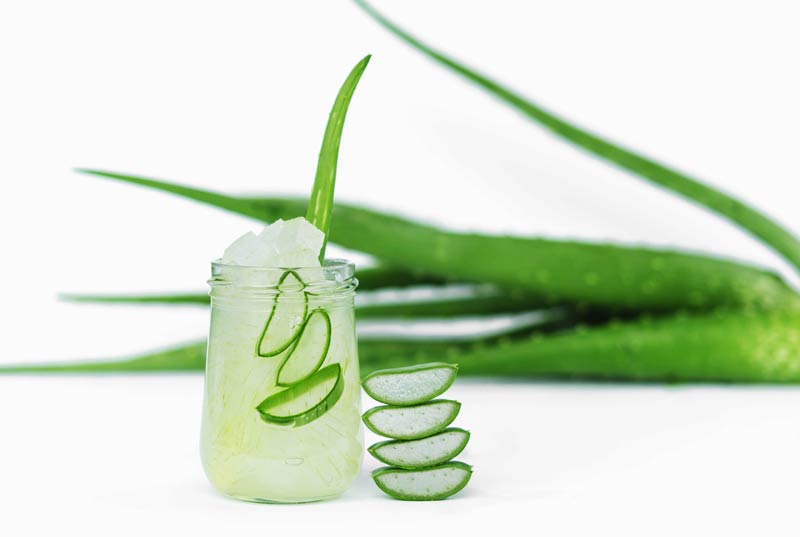 Aloe vera and diabetes