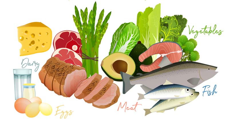Low Carb Diet Foods